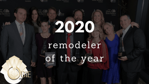 remodeler of the year 2020